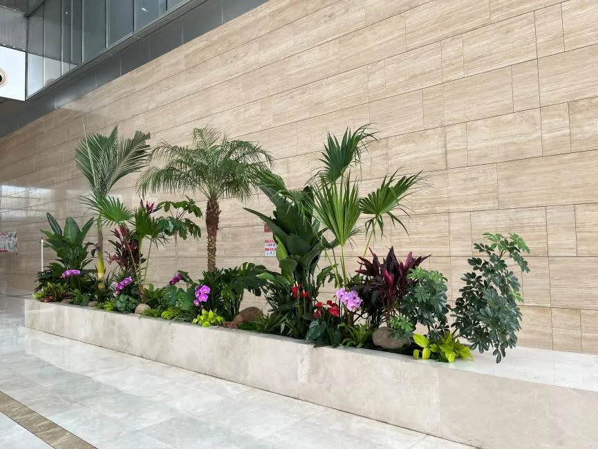 宁波慈溪植物租摆设计